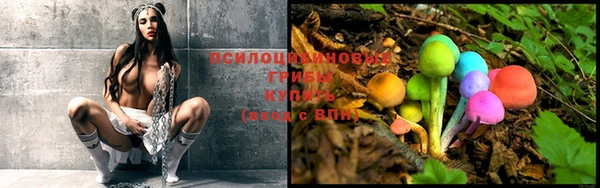 эйфоретик Волоколамск